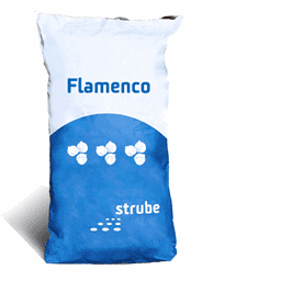 Zeige Details für Flamenco Bild von Flamenco